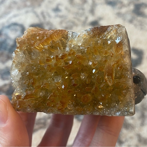 NOT FOR SALE - Picture 4 of 6